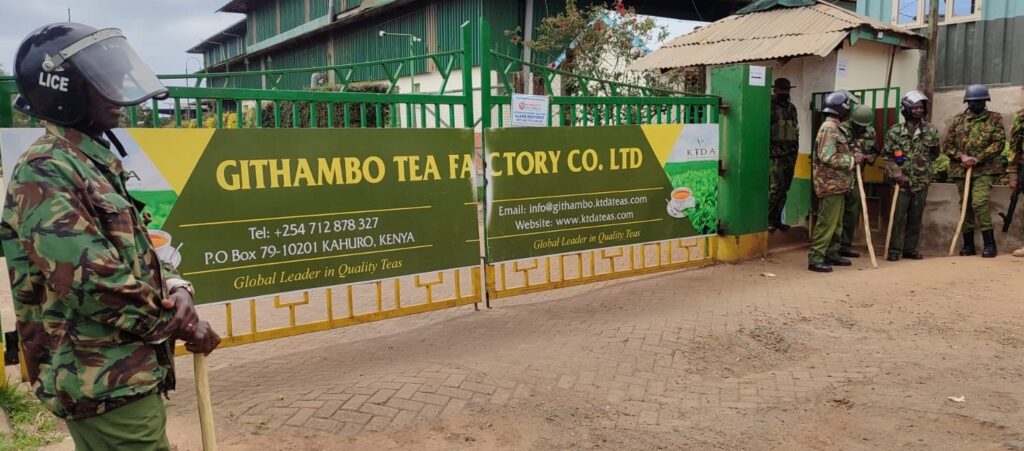 Githongo Tea Factory Chairman at Githambo tea factory resigns - Themountainjournal
