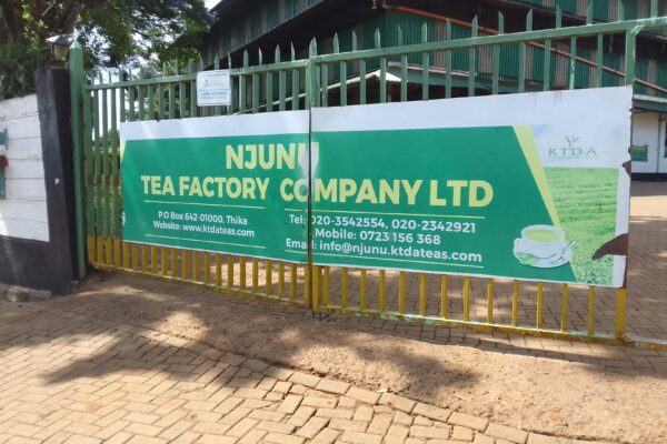 Njunu tea factory to spend Sh300 million on speciality tea